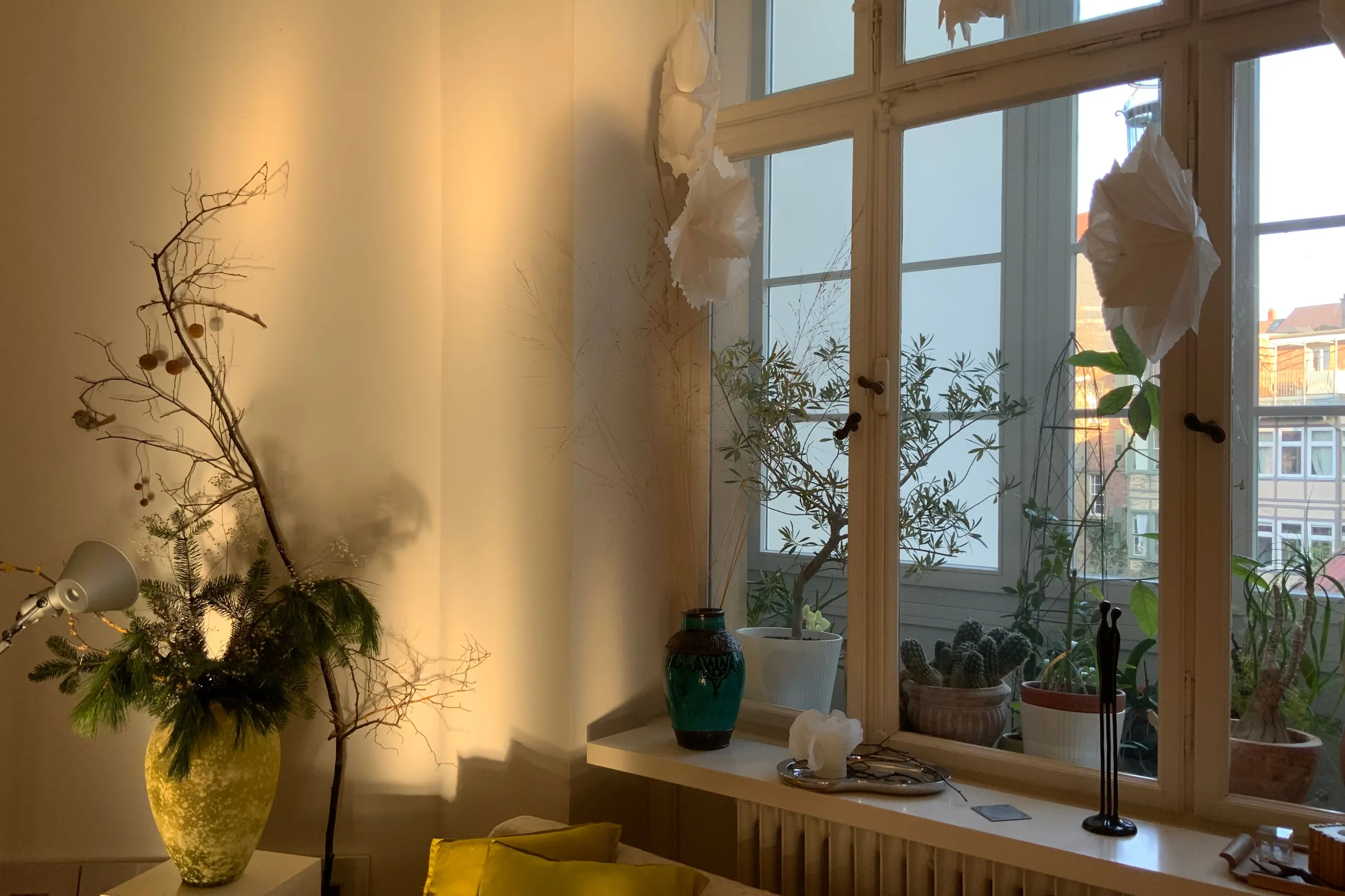 Fensterecke einer Altbauwohnung mit Pflanzen auf der Fensterbank im warmen Abendlicht